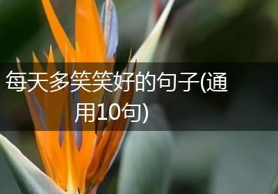 每天多笑笑好的句子(通用10句)