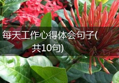 每天工作心得体会句子(共10句)