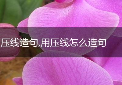压线造句,用压线怎么造句