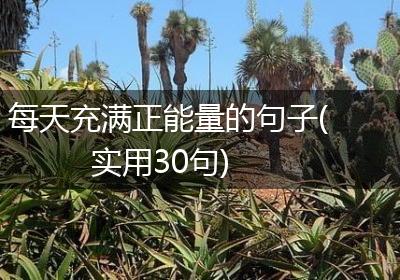每天充满正能量的句子(实用30句)