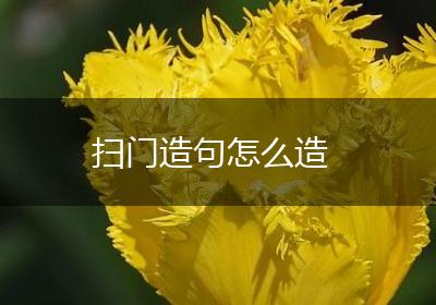 扫门造句怎么造