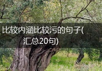 比较内涵比较污的句子(汇总20句)