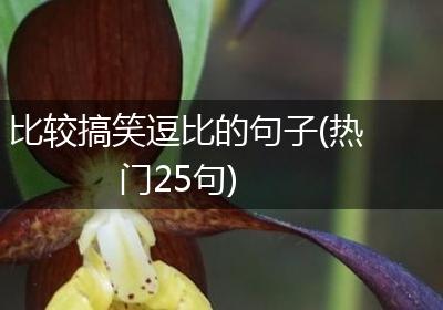 比较搞笑逗比的句子(热门25句)
