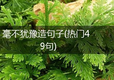 毫不犹豫造句子(热门49句)