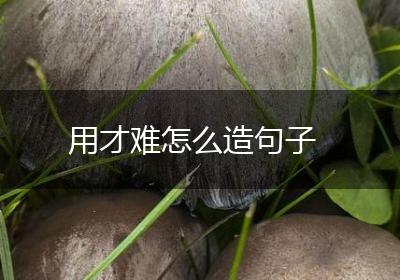 用才难怎么造句子
