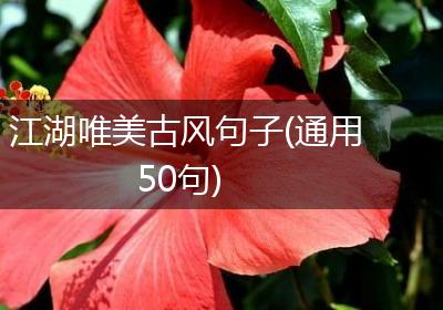 江湖唯美古风句子(通用50句)