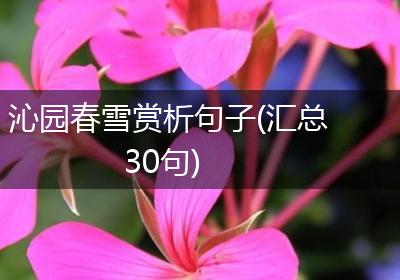 沁园春雪赏析句子(汇总30句)