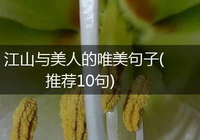 江山与美人的唯美句子(推荐10句)