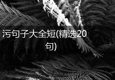 污句子大全短(精选20句)