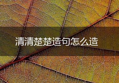 清清楚楚造句怎么造