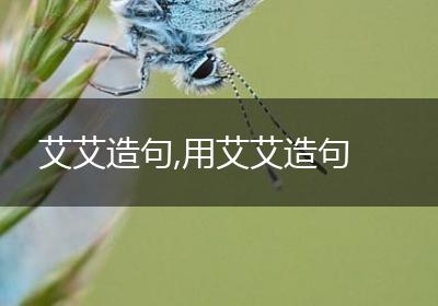 艾艾造句,用艾艾造句