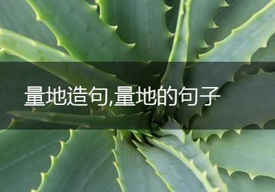 量地造句,量地的句子