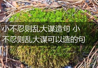 小不忍则乱大谋造句 小不忍则乱大谋可以造的句子有哪些