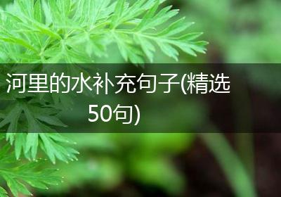 河里的水补充句子(精选50句)