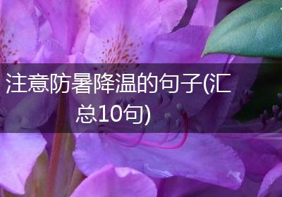 注意防暑降温的句子(汇总10句)