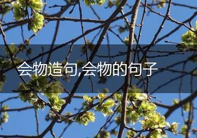 会物造句,会物的句子