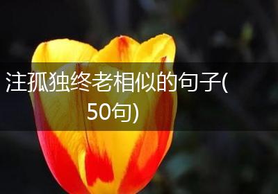 注孤独终老相似的句子(50句)