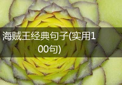 海贼王经典句子(实用100句)