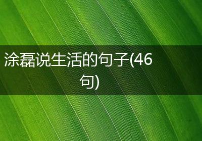 涂磊说生活的句子(46句)