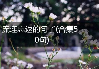 流连忘返的句子(合集50句)