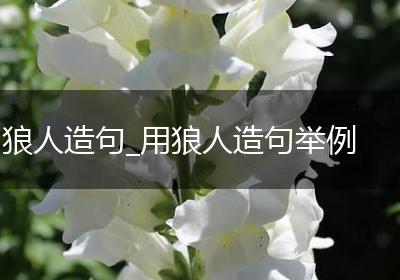 狼人造句_用狼人造句举例