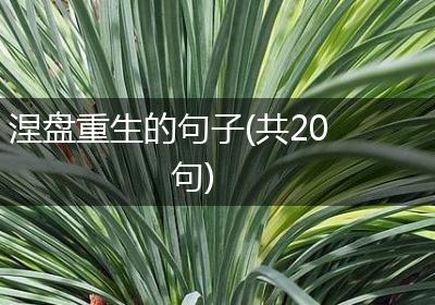 涅盘重生的句子(共20句)