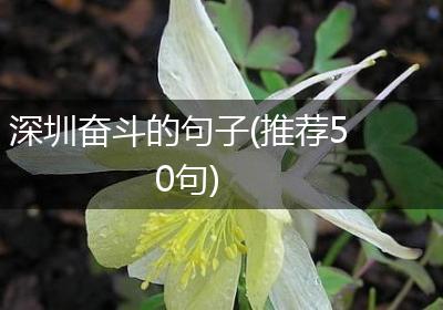 深圳奋斗的句子(推荐50句)