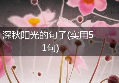 深秋阳光的句子(实用51句)
