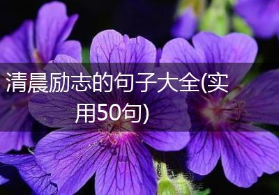 清晨励志的句子大全(实用50句)