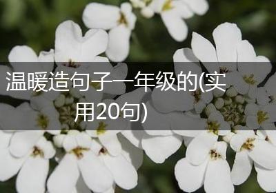 温暖造句子一年级的(实用20句)