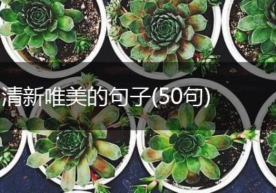 清新唯美的句子(50句)