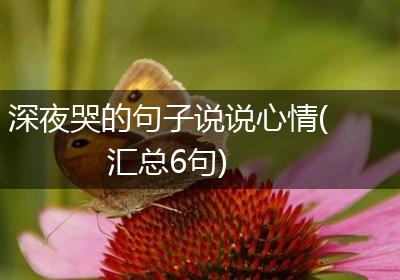 深夜哭的句子说说心情(汇总6句)