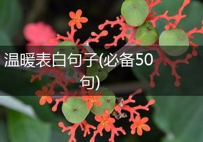 温暖表白句子(必备50句)