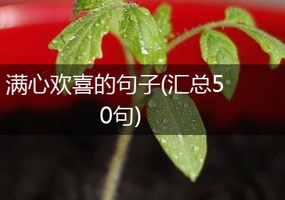 满心欢喜的句子(汇总50句)