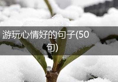 游玩心情好的句子(50句)
