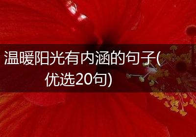 温暖阳光有内涵的句子(优选20句)