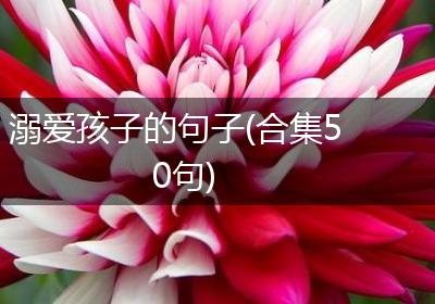溺爱孩子的句子(合集50句)
