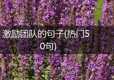 激励团队的句子(热门50句)