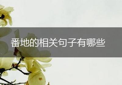 番地的相关句子有哪些