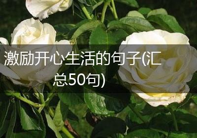 激励开心生活的句子(汇总50句)