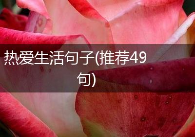 热爱生活句子(推荐49句)