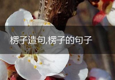 楞子造句,楞子的句子