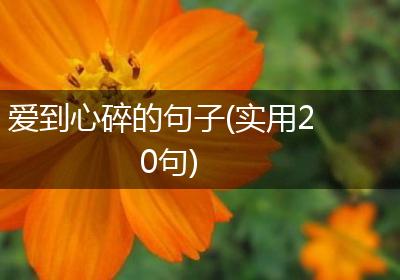 爱到心碎的句子(实用20句)