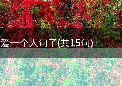 爱一个人句子(共15句)