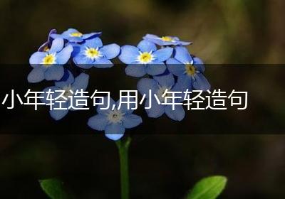 小年轻造句,用小年轻造句