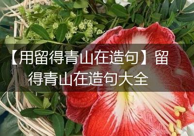 【用留得青山在造句】留得青山在造句大全