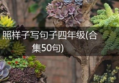 照样子写句子四年级(合集50句)