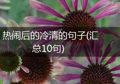 热闹后的冷清的句子(汇总10句)