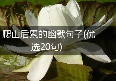 爬山后累的幽默句子(优选20句)