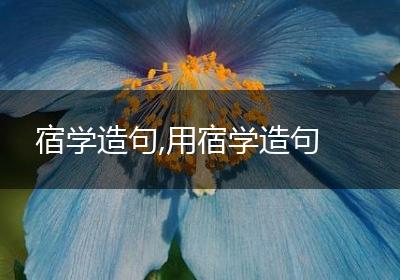 宿学造句,用宿学造句